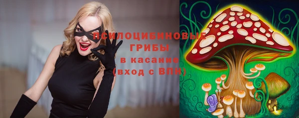 дурь Щёлкино