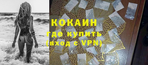 бошки Щигры