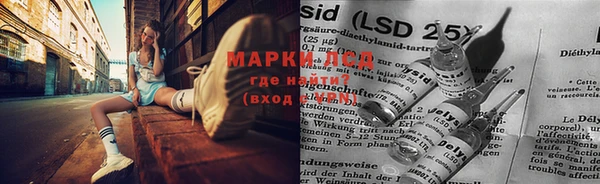 бошки Щигры