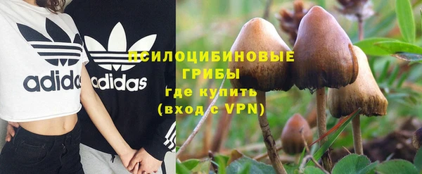 бошки Щигры