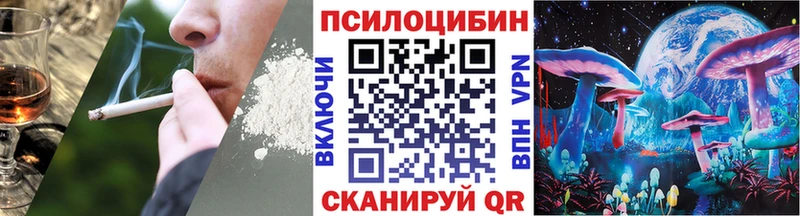 Купить закладки  Чекалин  Псилоцибиновые грибы GOLDEN TEACHER 