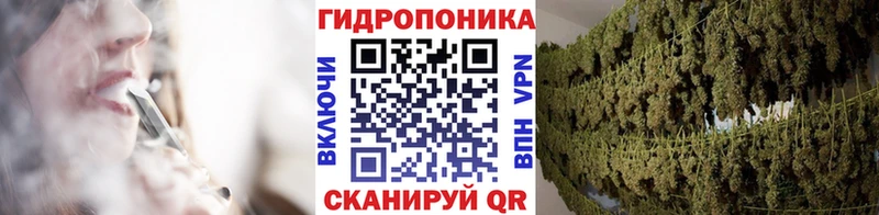 Каннабис Ganja  Купить закладки  Чекалин 